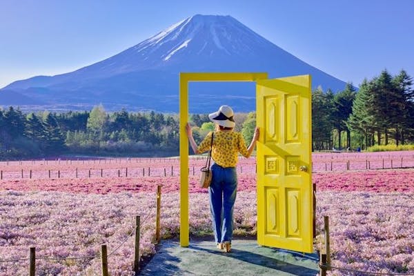 富士芝桜まつり(富士本栖湖リゾート)｜割引チケット・クーポンなら