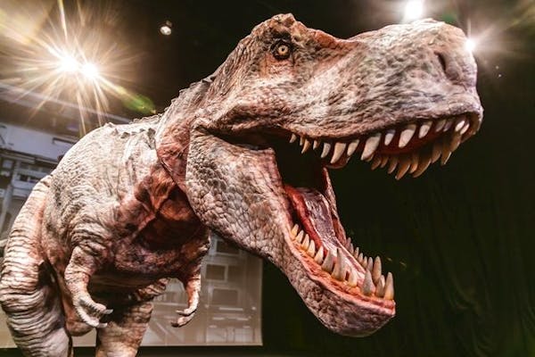 A席・2,900円】恐竜ラボ！ ディノ・サバイバル DINO-A-LIVE 金沢公演 