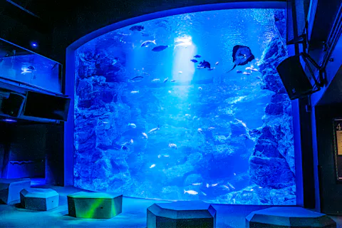 【最大350円割引】京都水族館×ニデック京都タワー 入館セット券