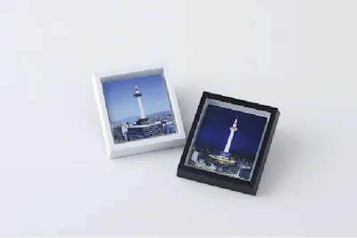 最大350円割引】京都水族館×ニデック京都タワー 入館セット券