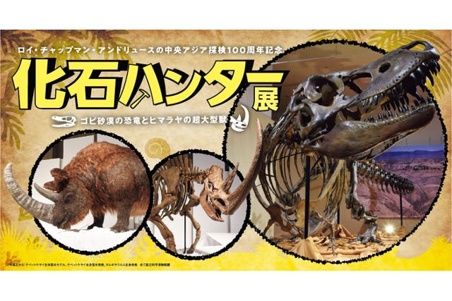 【前売券】化石ハンター展　～ゴビ砂漠の恐竜とヒマラヤの超大型獣～ 2024年6月25日～ 9月23日