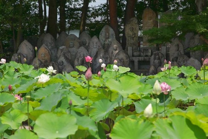 公益社団法人　奈良市観光協会