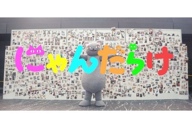 前売券】にゃんだらけ in 名古屋｜7月23日・24日＠名古屋市中小企業