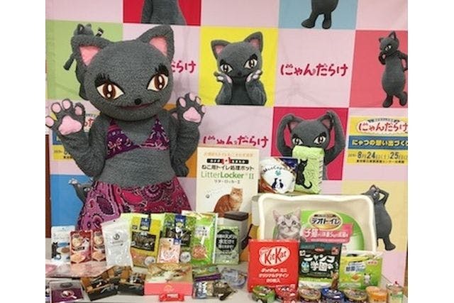 わんにゃんドーム 2024 チケット 2枚 店内全品対象 - その他