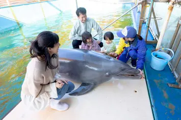 en 鳥船 目白 鳥羽湾めぐりとイルカ島 電子前売り乗船チケット｜アソビュー！