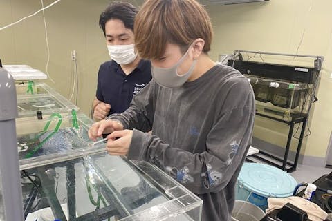 スマートアクアリウム静岡　飼育員体験チケット