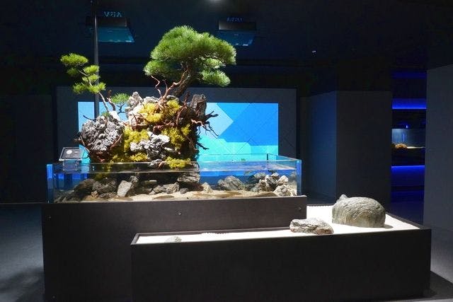 餌やり体験付き館内案内ツアー - スマートアクアリウム静岡