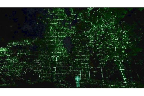 チームラボ ボタニカルガーデン 大阪」入場日時指定の事前購入で