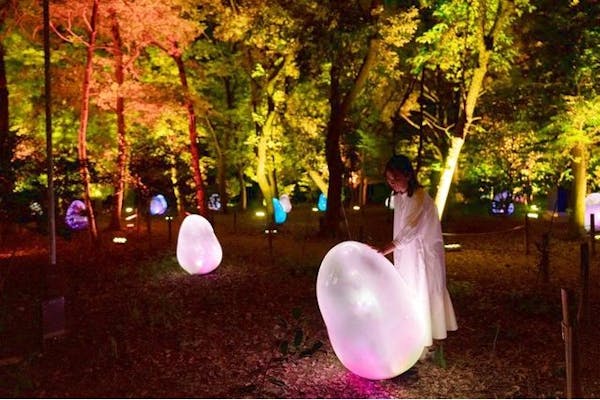 チームラボ ボタニカルガーデン 大阪」入場日時指定の事前購入で