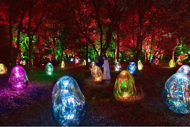 「チームラボ ボタニカルガーデン 大阪」入場日時指定の事前購入でスムーズな入場！