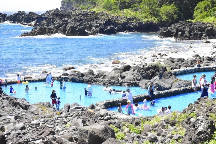 伊豆海洋公園磯プール
