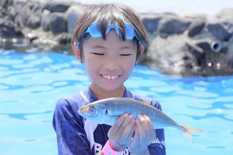 伊豆海洋公園磯プール