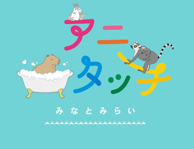 アニタッチみなとみらい