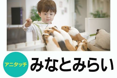 【100円割引】 アニタッチみなとみらい 入場チケット