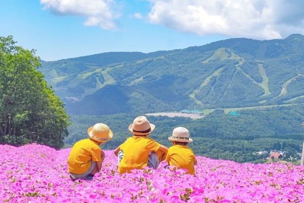 100円割引】ひるがのピクニックガーデン 入園＋高原リフト乗車セット券