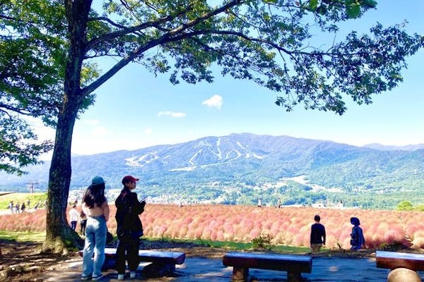 嵐が丘 100円割引】ひるがのピクニックガーデン 入園＋高原リフト乗車セット券