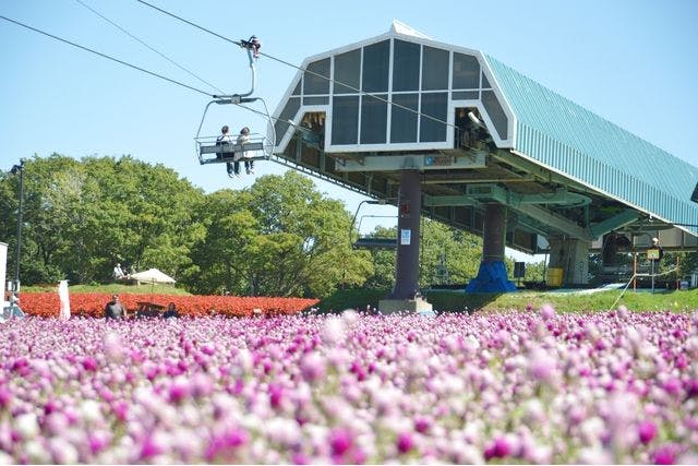 【100円割引】ひるがのピクニックガーデン 入園＋高原リフト乗車セット券
