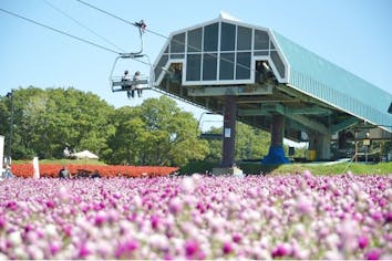 楽園　のんびり 楽園 by Losstime Life【5th Album アオイリンゴ 収録曲】 - YouTube