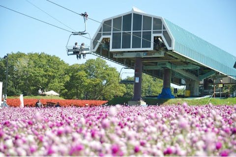 【100円割引】ひるがのピクニックガーデン 入園＋高原リフト乗車セット券