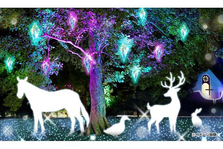 つま恋イルミネーション