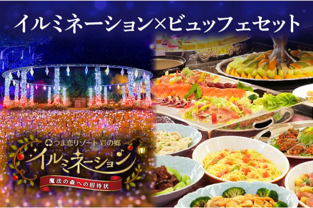 【お得な前売り券】つま恋イルミネーション セット券（イルミ+ディナービュッフェ）