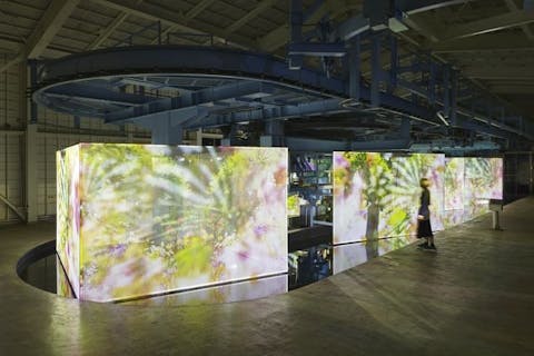 【9/1～期間限定50％引】蜷川実花氏アートも雲海も恐竜も楽しめる！「APPI BLUE PASS」