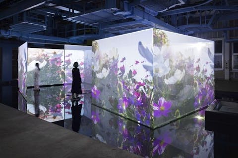 蜷川実花×安比Art Project宿泊プラン　初のスキー場を舞台にした作品展【胡蝶の旅】チケット付