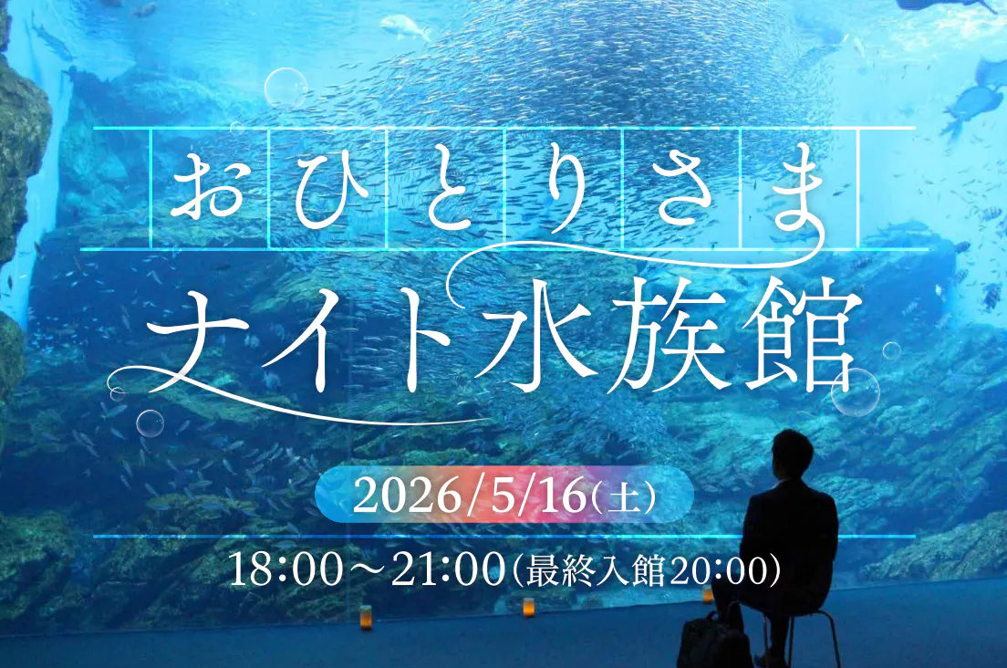 【5月16日（土）開催】夜の水族館を楽しむ おひとりさまナイト水族館