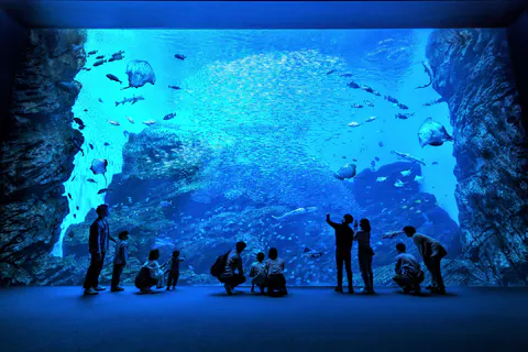 【7044】仙台うみの杜水族館 チケット売場に並ばずに入館できる WEB入館券
