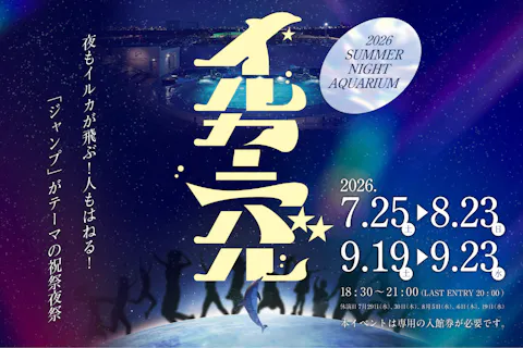 【通常期間】イルカーニバルチケット 日付指定・キャンセル不可