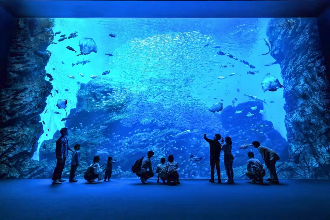 【7046】平日限定 仙台うみの杜水族館 チケット売場に並ばずに入館できる WEB入館券