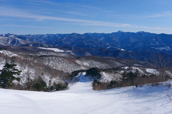 すべての行き先、スキー場 その他、いつでも、1人の検索結果（全96件