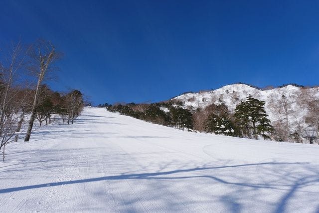 オグナほたかスキー場 リフト1日券 2枚 - スキー場