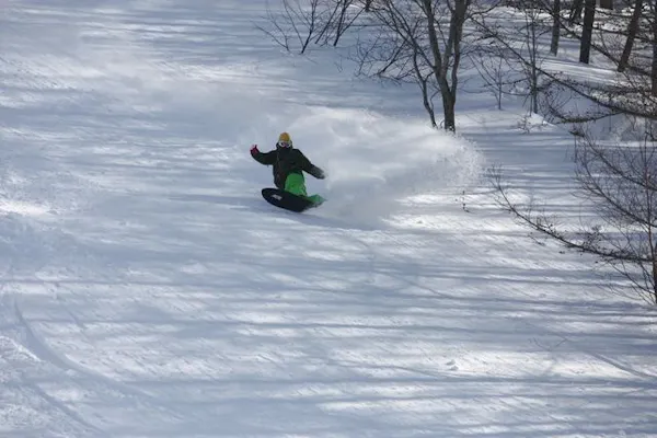 900円割引】会津高原たかつえスキー場 リフト1日券＋食事券付
