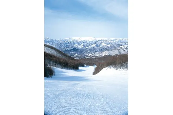 900円割引】会津高原たかつえスキー場 リフト1日券＋食事券付