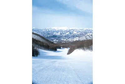 会津高原たかつえスキー場 リフト券 スキー場 たかつえスキー　3枚 900円割引】会津高原たかつえスキー場 リフト1日券＋食事券付