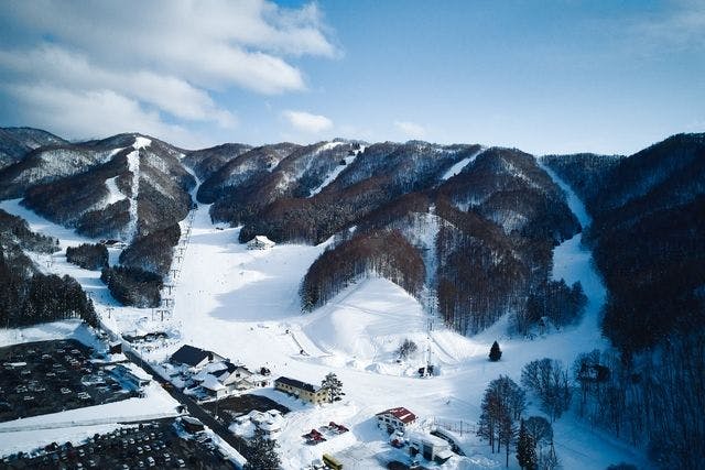 かわいい～！」 群馬県みなかみ ほうだいぎスキー場 1日リフト券x 4枚