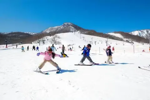 【早割・最大1,800円割引】だいくらスキー場・南郷スキー場／選べるリフト1日券