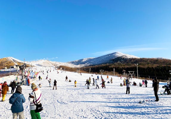 くじゅう森林公園スキー場 1日リフト券 黒く