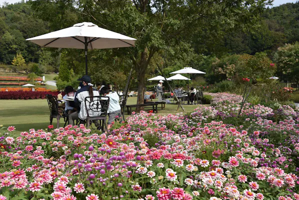 最大20%OFF】やまぐちフラワーランド 入園券｜アソビュー！