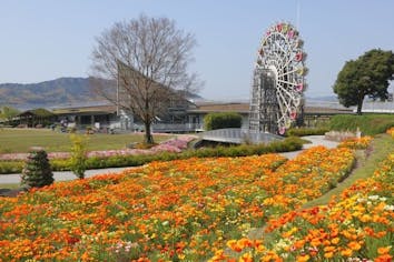 最大20%OFF】やまぐちフラワーランド 入園券｜アソビュー！