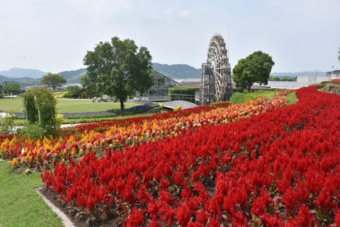 超特割！【最大20%OFF】年間45万本の花たちが咲き誇る「やまぐちフラワーランド」入園券