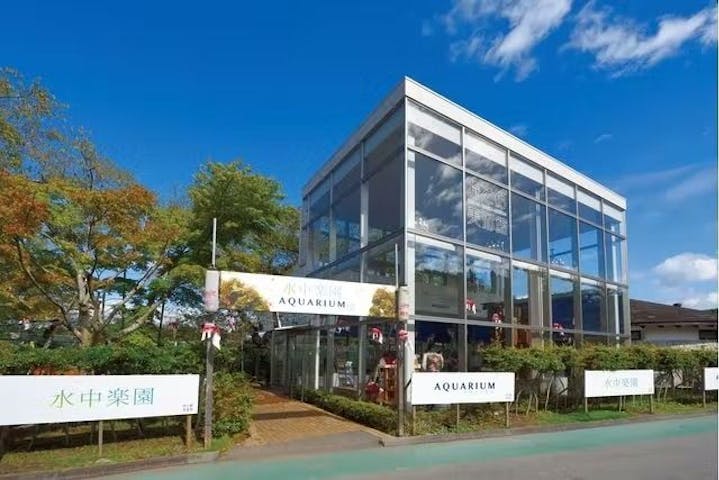 水中楽園アクアリウム