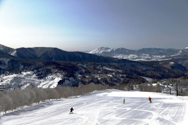 パルコール嬬恋 スキー場 大人一日リフト券( 2枚あります。) - スキー場