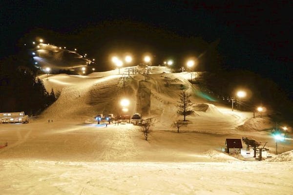 上越国際スキー場 岩原スキー場 1日リフト券３枚 夜まで使える利用可能