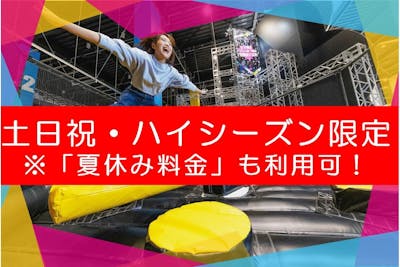 最大17%割引 120分＋延長60分】土日祝ハイシーズン限定/購入翌日より利用可/EXPO｜アソビュー！