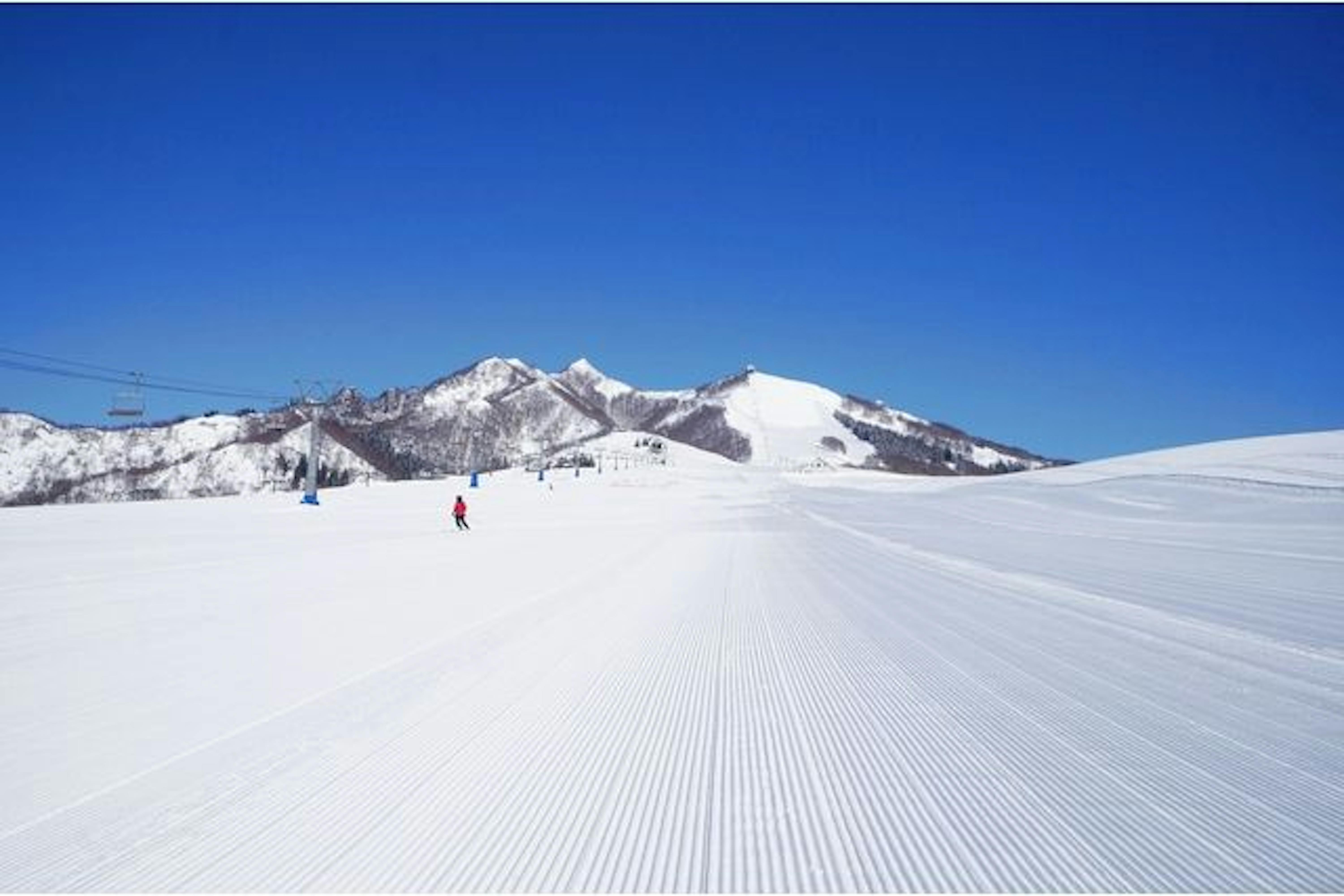 上越国際、岩原 スキー場 リフト券 ペア スノーボード スキー 