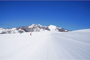 91e6b0ca-c291-4812-922d-