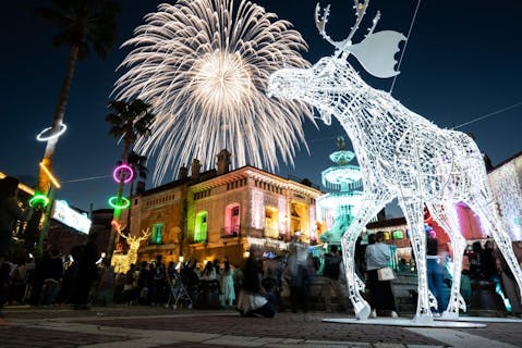 【シーズンパスポート】光のフェスティバル「フェスタ・ルーチェin和歌山マリーナシティ」