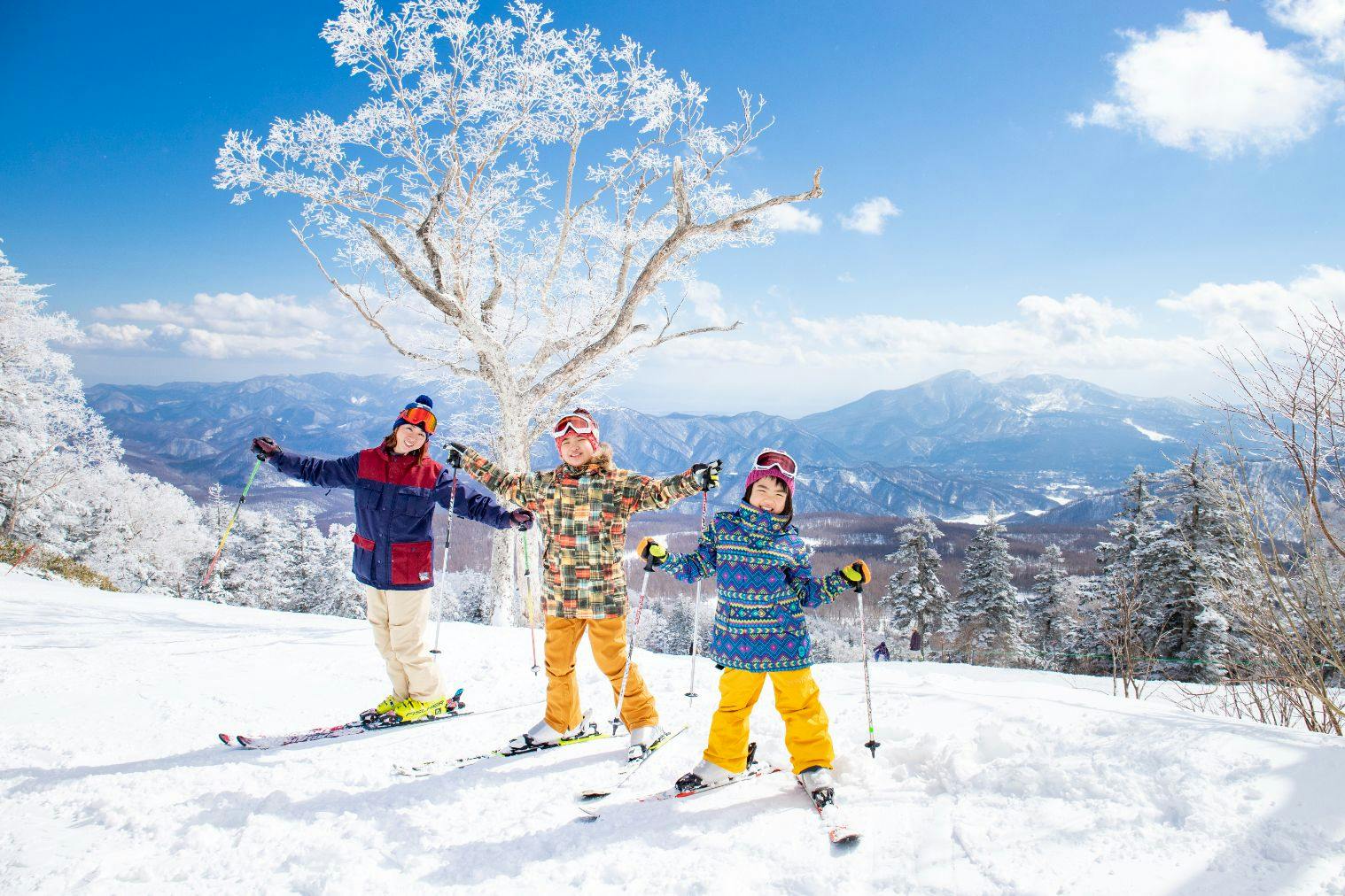 グランデコ リフト券１日券 3枚 53b45ef2-b1de-4ece-a198-